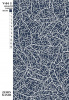 IMG-20251020-WA0001
